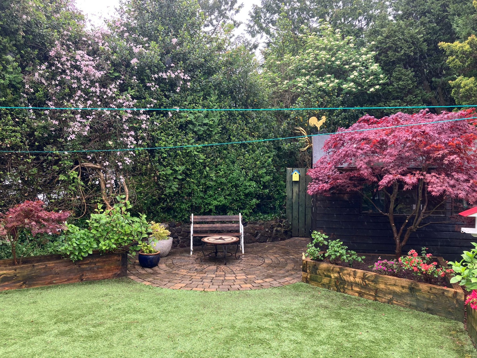 Restored back garden
